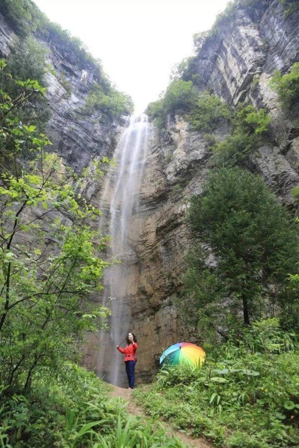 可以很猛,可以很萌,在上海,438条意想不到的龙,让传统文化“生龙活虎”